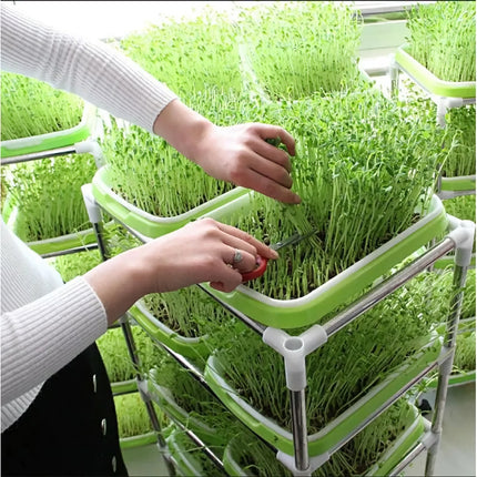 Horticultural Hydroponic Microgreens Sprouter Tray