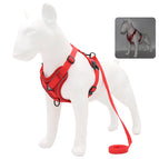 S 2-4 kg / Red
