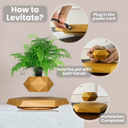 Floating Plant Pot Levitating Plant Pot for Succulents - Wnkrs