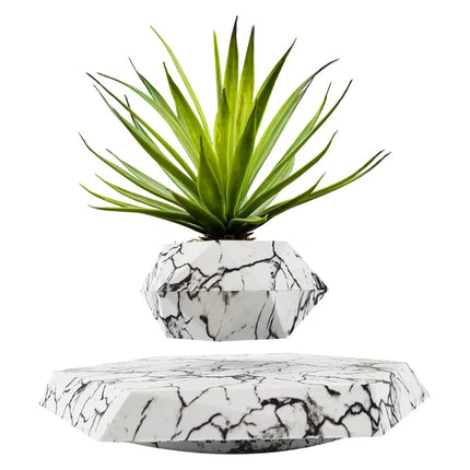 Floating Plant Pot Levitating Plant Pot for Succulents - Wnkrs