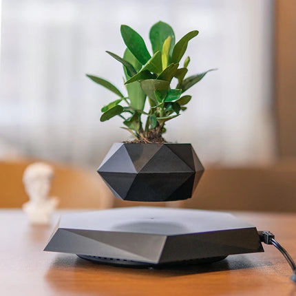 Floating Plant Pot Levitating Plant Pot for Succulents - Wnkrs