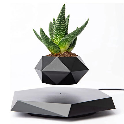 Floating Plant Pot Levitating Plant Pot for Succulents - Wnkrs