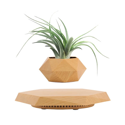 Floating Plant Pot Levitating Plant Pot for Succulents - Wnkrs