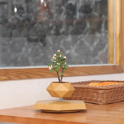 Floating Plant Pot Levitating Plant Pot for Succulents - Wnkrs