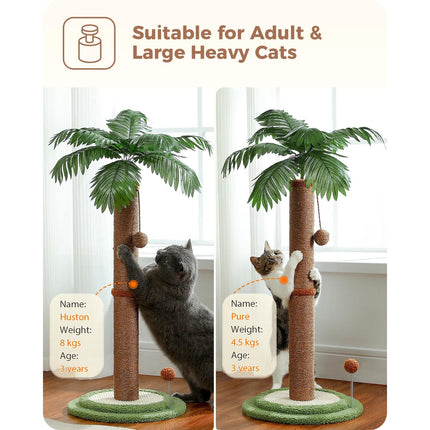 Grand arbre à chat pour chat