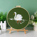 Sin aro / Cisne