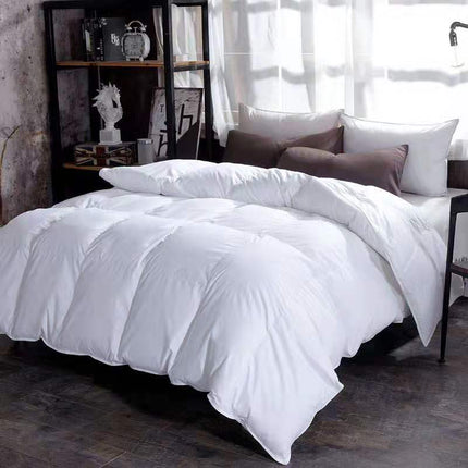 Down Duvet, Winter Duvet, Goose Down Duvet Core, Air Conditioner - Wnkrs