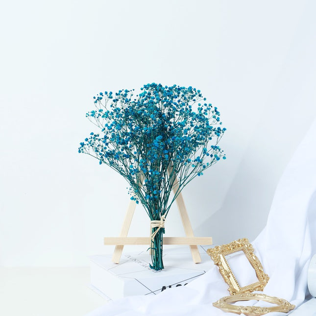 Gypsophila Dried Flower Bouquet Air-dried Real Flower Living Room Decoration - Wnkrs