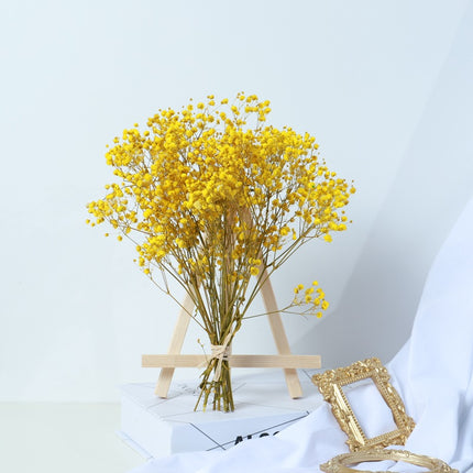 Gypsophila Dried Flower Bouquet Air-dried Real Flower Living Room Decoration - Wnkrs