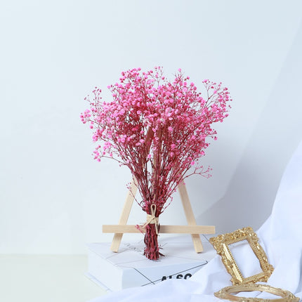 Gypsophila Dried Flower Bouquet Air-dried Real Flower Living Room Decoration - Wnkrs