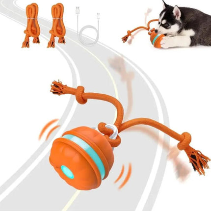 Balle roulante interactive activée par le mouvement pour chiots et chats