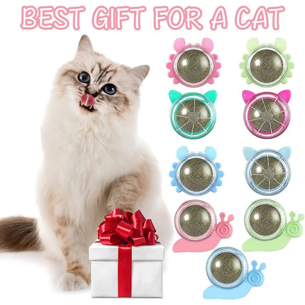 Catnip Wall Ball Toy for Cats