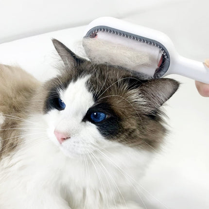 Brosse de toilettage 4 en 1 pour animaux de compagnie avec réservoir d'eau pour chiens et chats