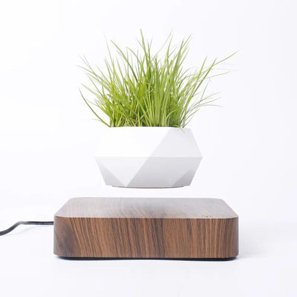 Enchanting Moon & Levitating Plant LED Light - Wnkrs