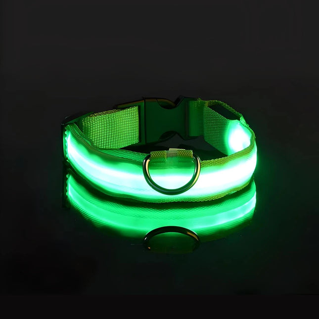 Collar LED ajustable para perros, recargable por USB, luz de seguridad intermitente, varios tamaños