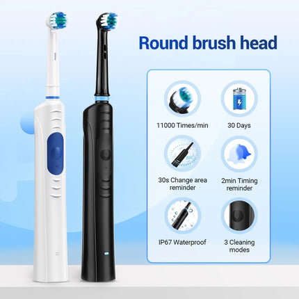 Brosse à dents électrique rotative pour adultes – Vibration intelligente avec 3 modes et 4 têtes de rechange