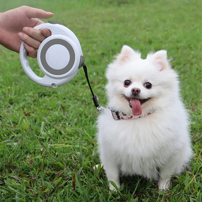 Laisse rétractable pour chien de 5 m avec poignée antidérapante et frein à une main pour chiens de petite et moyenne taille