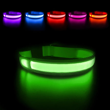 LED Safety Dog Collar - Wnkrs