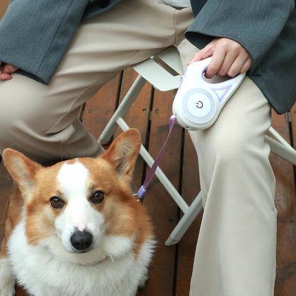 Correa retráctil automática para perros de 3 m/5 m con luz LED para paseos nocturnos