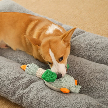 Juguete de peluche para masticar con forma de ganso salvaje que chirría para perros: suave, divertido y duradero