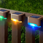 Brown - Colorful Light / 12PCS