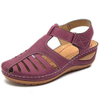 Purple / 12