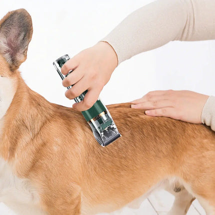 Tondeuse pour poils d'animaux