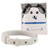 42cm for Dog