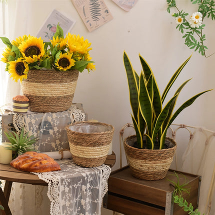 Juego de cestas tejidas de paja para plantas