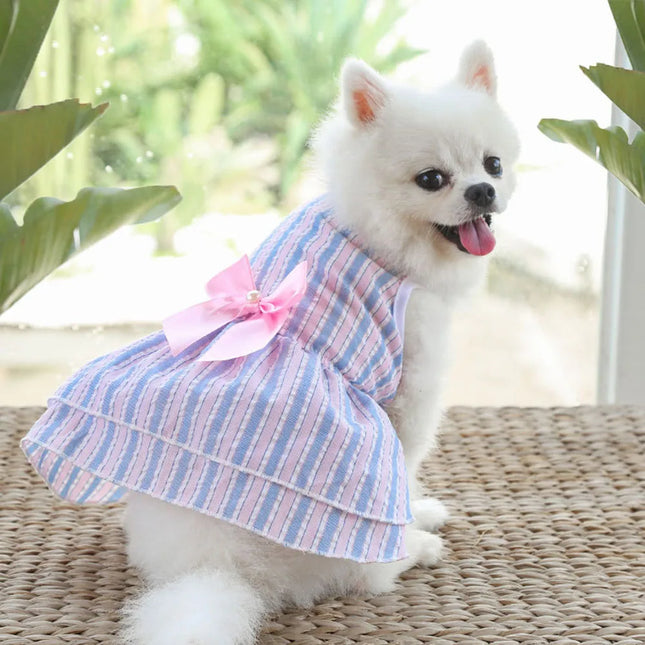 Vestido de princesa para perro