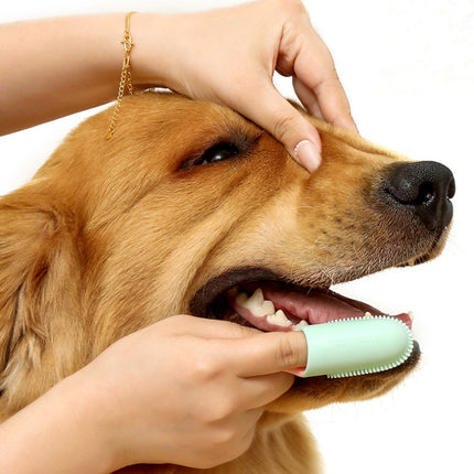 Brosse à dents pour animaux de compagnie pour un nettoyage efficace des dents