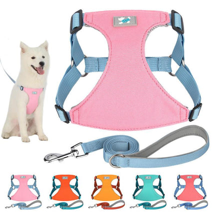 Conjunto de arnés y correa de nailon ajustable para perros de todas las razas