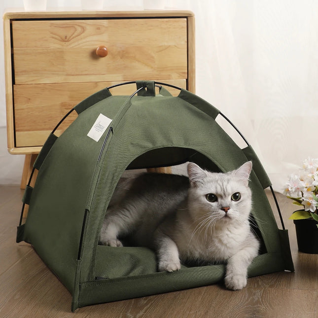 Winter Clamshell Kitten Tent: Cozy Cat Bed & House