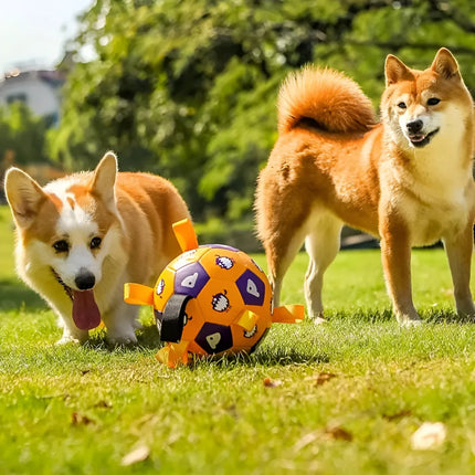 Jouet de football interactif pour chien avec languettes de préhension