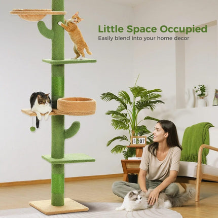 Árbol para gatos de cactus de piso a techo