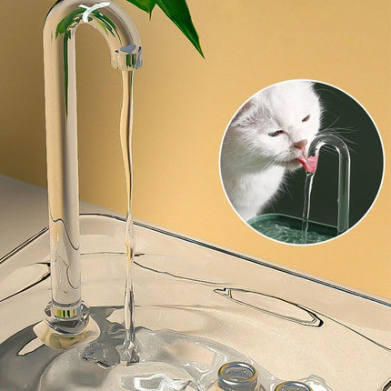 USB-Powered Transparent Pet Water Fountain with Auto Filter - Wnkrs