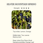 SILVER MOUNTAIN / 100 ML