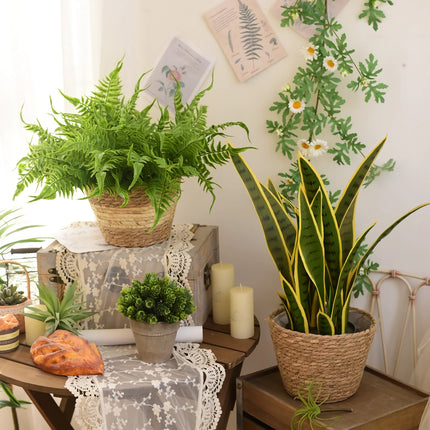 Juego de cestas tejidas de paja para plantas