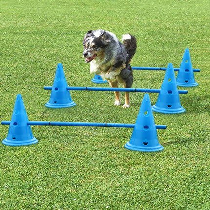 Ensemble de 3 haies d'entraînement pour chien