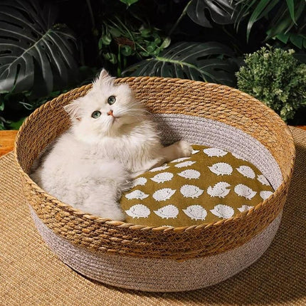 Handwoven Rattan Cat Bed - Wnkrs