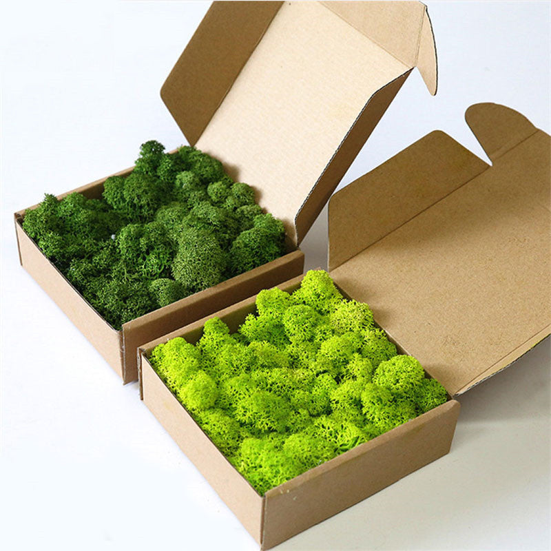 Artificial Eternal Life Moss