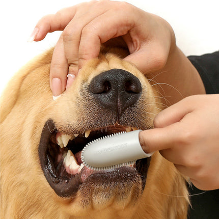 Brosse à dents pour animaux de compagnie pour un nettoyage efficace des dents