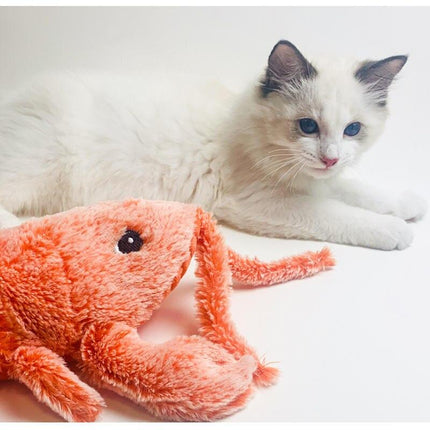 Jouet interactif électrique pour chat en forme de homard – Un divertissement amusant pour les animaux et les enfants