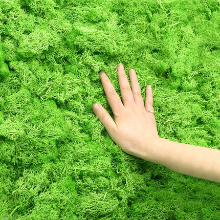 Artificial Garden Moss for Decor - Wnkrs