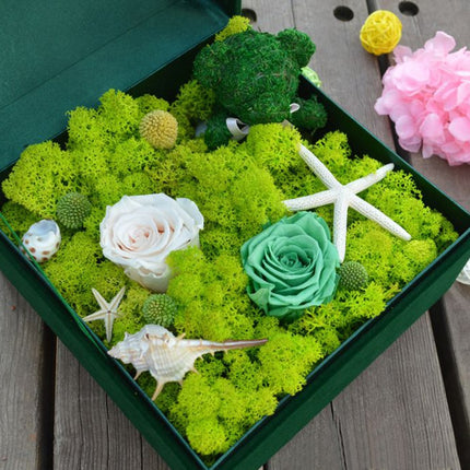 Artificial Garden Moss for Decor - Wnkrs