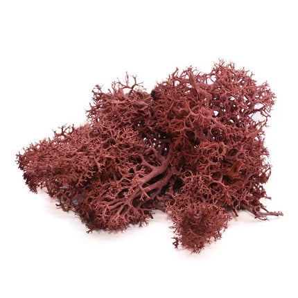 Artificial Garden Moss for Decor - Wnkrs