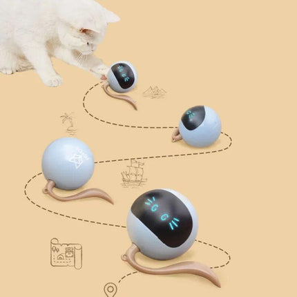 Smart Interactive LED Cat Ball Toy - Wnkrs