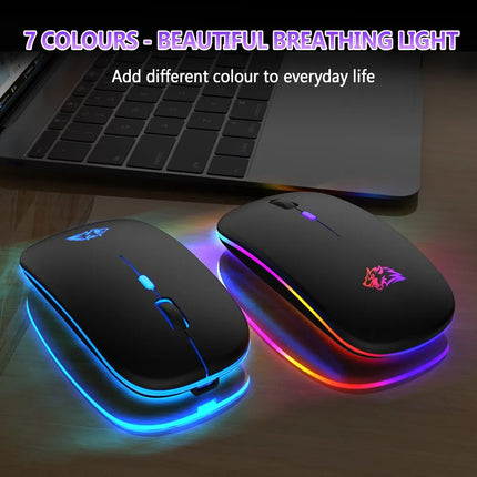 Souris ergonomique rechargeable sans fil Bluetooth et 2,4 GHz à double mode RGB