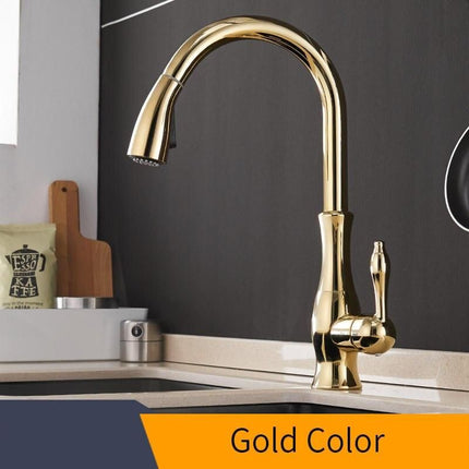 Gold Pull Out Kitchen Faucet - Wnkrs