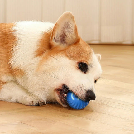 Balle jouet intelligente et interactive pour chien